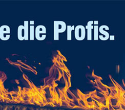 Surfen wie die Profis